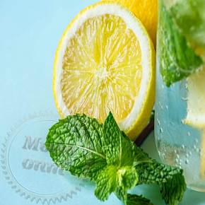 Купить Отдушка Lemon & Minth hydro, 1 литр в Украине