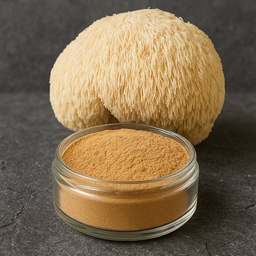 Lion's Mane extract powder 1 kg Mylo Opt global supplier Lion's Mane extract powder 1 kg cosmetic ingredient Mylo Opt