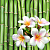 Floral Bamboo Fragrance Oil, 50 ml, photos, reviews, use