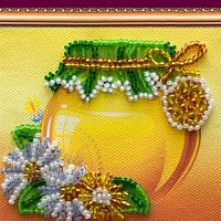 Kit-magnet for embroidery with beads Medoc cosmetic ingredient Mylo Opt
