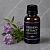 Verbena Extract Concentrate 1 L cosmetic ingredient Mylo Opt