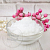 Soy Wax 50 grams, photos, reviews, use