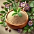 Golden Mustache Extract Powder 10% 5 g, photos, reviews, use
