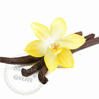 Fragrance Oil Vanilla flower, 1 liter