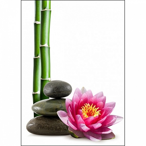 Fragrance Oil Lotus and Bamboo, 1 liter, photos, reviews, use