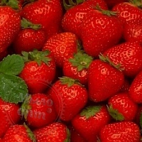Straight Strawberry food flavor, 1 L