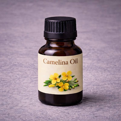 Camelina Oil 3 L cosmetic ingredient Mylo Opt