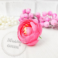 Ranunculus flower large 4 cm, bright pink