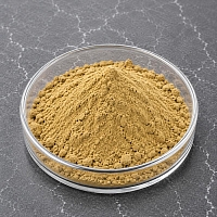 Motherwort Extract Powder 10% 1 kg cosmetic ingredient Mylo Opt