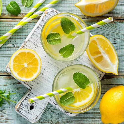 Flavor food Lemon Mint Te, 1 L Mylo Opt global supplier Flavor food Lemon Mint Te, 1 L cosmetic ingredient Mylo Opt