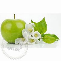 Купить Отдушка White jasmine and Apple, 1 литр в Украине