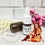 SYN -COLL 100 ml, photos, reviews, use