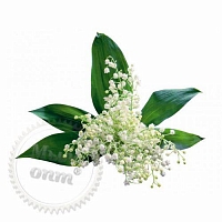Отдушка Agel fleurs de printemps, 1 литр