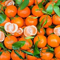Dry granular Fragrance Oil Mandarin Moroccan, 1 kg