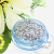 Glitter Silver TS 001 (0.4 mm) 1/64 '', 50 grams, photos, reviews, use