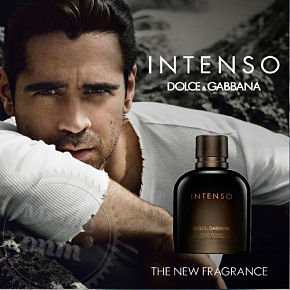 Купить Отдушка Dolce & Gabbana Pour Homme Intenso, 10 мл в Украине