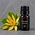 Champaca Absolute 500 g cosmetic ingredient Mylo Opt