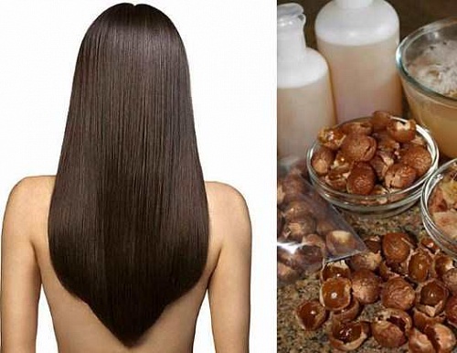 Soap nuts, 1 kg, photos, reviews, use