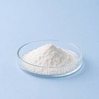 PMMA Powder 10 гр