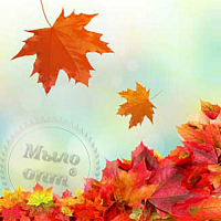 Fragrance Oil Fresh fallen leaves, 50 ml