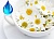 Water soluble - Chamomile field Fragrance Oil, 10 ml, photos, reviews, use