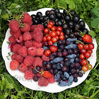 Купить Отдушка Лесная ягода, 1 литр в Украине
