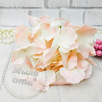 Hydrangea Flower Ivory Pink