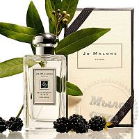 Купить Отдушка Jo Malone Blackberry Bay, 1 л в Украине