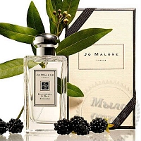 Отдушка Jo Malone Blackberry Bay, 1 л