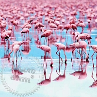 Отдушка Pink Flamingo, 1 литр