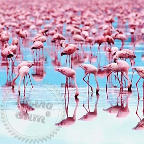 Купить Отдушка Pink Flamingo, 1 литр в Украине