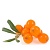 Sea buckthorn glycolic extract - fortify the skin, 1 liter, photos, reviews, use