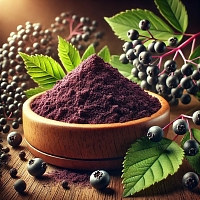 Экстракт Бузины сухой, 1 кг