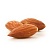 Almond glycolic extract - slows down skin aging, 1 liter, photos, reviews, use