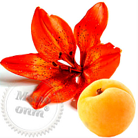 Fragrance Oil White Apricot and Tigrov Lily, 100 ml