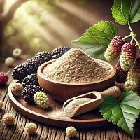 Экстракт Шелковицы сухой, 1 кг