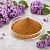 Lilac Extract Powder 1 kg cosmetic ingredient Mylo Opt