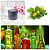 Powder extract of celandine, 5 g, photos, reviews, use