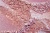 Cosmetic mica Sunset Pink Mica, 100 grams, photos, reviews, use