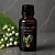 Абсолют Конвалія травнева 2 мл