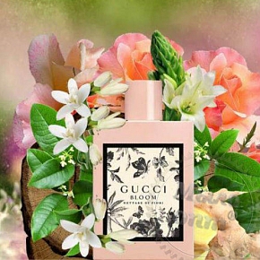 Купить Отдушка Bloom Gocce Di Fiori, Gucci, 100 мл в Украине