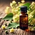 Linden Blossom Oil 1 L cosmetic ingredient Mylo Opt