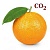 Купить Экстракт СО2 Апельсина цедры, 100 гр в Украине