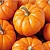 Pumpkin Enzyme Peel - cleanses pores, 1 liter, photos, reviews, use