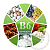 Vitamin B6 Powder, 10 g, photos, reviews, use