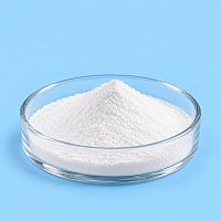 Biosaccharide Gum-2, 100 гр артикул VV26102308