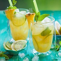 Ароматизатор пищевой Plantation Pineapple & Mint, 1 литр