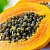 ABS PAP-ANGO ENZYME PF 10 ml cosmetic ingredient Mylo Opt