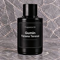 Отдушка Gumin Tiziana Terenzi, 20 мл артикул TM21111703