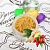 Ginger Powder with Rosehip 50 g, photos, reviews, use